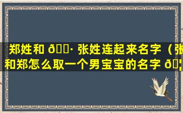 郑姓和 🕷 张姓连起来名字（张和郑怎么取一个男宝宝的名字 🦁 ）